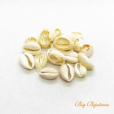 Búzio natural cortado 24x18 mm 25 gramas