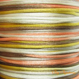 Fio Acetinado multi Color verão 1 mm 10 metros