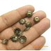 Tulipa ouro velho 10 mm 50 unidades